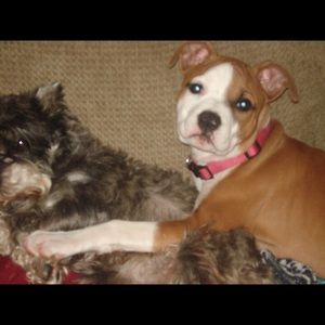 Meet your Posher, Ken